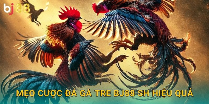 Mẹo cược đá gà tre bj88 sh hiệu quả