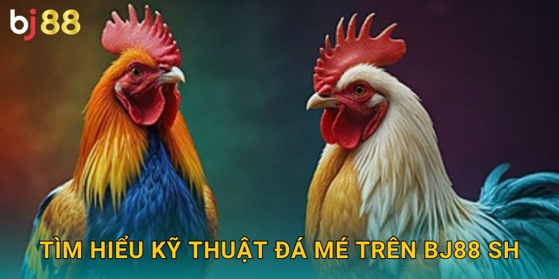 Tìm hiểu kỹ thuật đá mé trên Bj88 sh