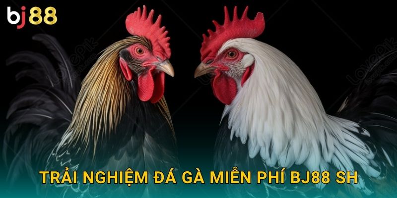 Trải nghiệm đá gà miễn phí bj88 sh